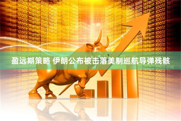 盈远期策略 伊朗公布被击落美制巡航导弹残骸
