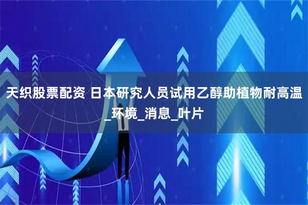 天织股票配资 日本研究人员试用乙醇助植物耐高温_环境_消息_叶片