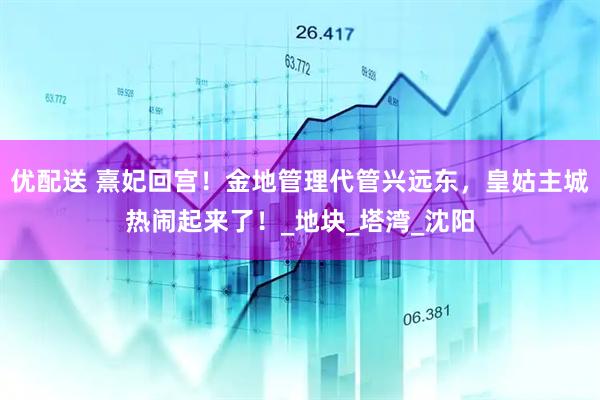 优配送 熹妃回宫！金地管理代管兴远东，皇姑主城热闹起来了！_地块_塔湾_沈阳