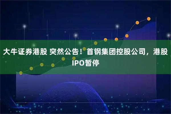 大牛证券港股 突然公告！首钢集团控股公司，港股IPO暂停